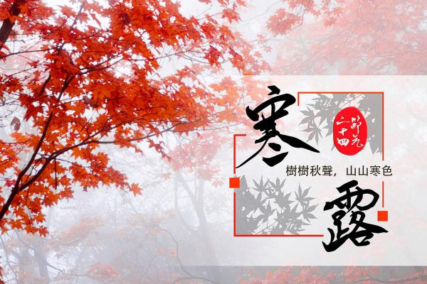 寒露_寒意渐浓
